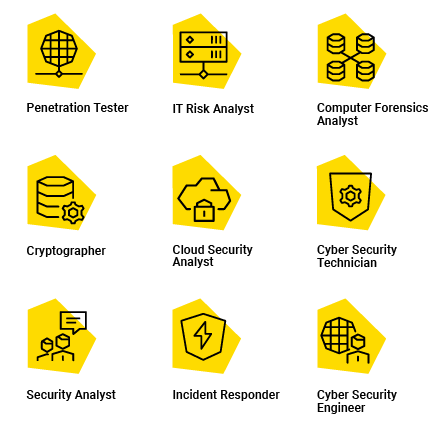 A 3x3 grid of icons for the career outcomes.