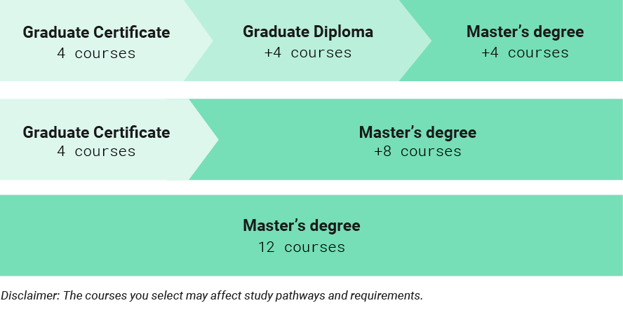 UNSW Program Pathway Diagram